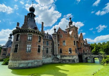 Tour Wandern Deinze - Le château d’Ooidonk à Deinze - Photo