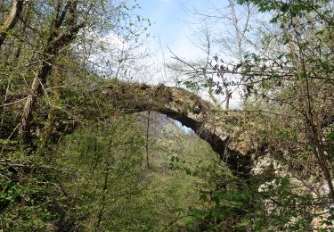 Tocht Stappen Saint-Alban-Leysse - St-Alban-Curienne-2021-04-24 - Photo