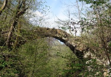 Excursión Senderismo Saint-Alban-Leysse - St-Alban-Curienne-2021-04-24 - Photo