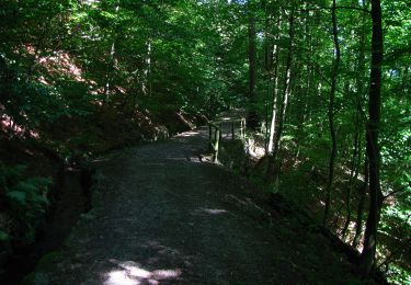 Tocht Te voet Onbekend - Kassel, Rundweg 15 - Photo