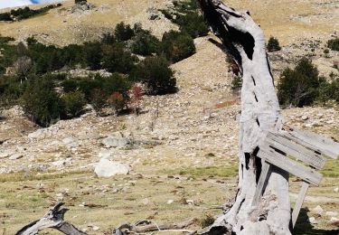Tour Wandern Ghisoni - GR20 Corse étape 11 - Photo