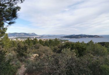 Tocht Stappen La Seyne-sur-Mer - Forêt de Janas depuis Fabregas. - Photo