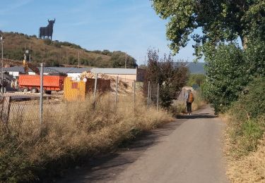 Randonnée Marche Logroño - Ventosa - Photo