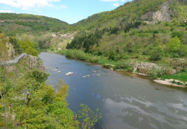 Percorso Marcia Aurec-sur-Loire - saut du chien le besset - Photo