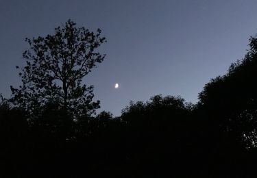 Percorso Mountainbike Chirens - Croix des cochettes by night - Photo