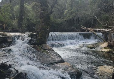 Trail Walking Mazaugues - Reco 19/03/2025 Autour du Caramy - Photo