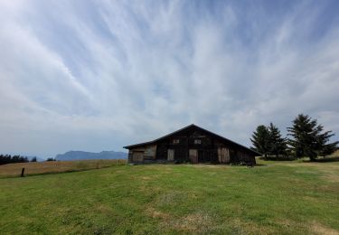 Tour Wandern Manigod - rando manigod 18-07-2023 - Photo