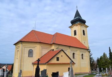 Excursión A pie okres Senica - Náučný chodník Lakšárska Nová Ves – Tomky - Photo