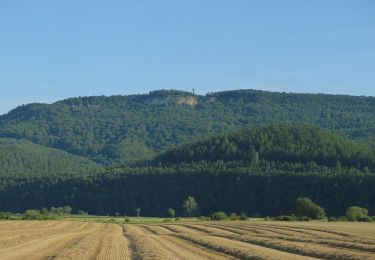 Tocht Te voet Treffurt - Premiumweg Heldrastein - Photo