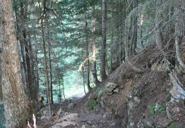 Excursión A pie Bagnères-de-Bigorre - Chemin de la Montagne d'Aouet - Photo