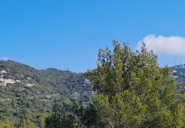 Excursión Senderismo La Valette-du-Var - coudon sud et crête ouest - Photo