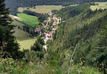 Tocht Stappen Villers-le-Lac - Étape 7 : Villers-le-Lac à Vieux Chateleu - Photo