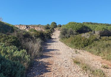 Tour Wandern Frontignan - Balcon de Thau (variante) - Photo