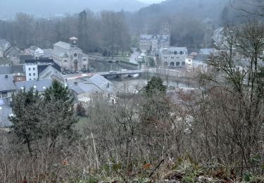 Tocht Stappen Viroinval - Nismes - L'arboretum - Le Fondry des chiens - La Roche trouée - Photo