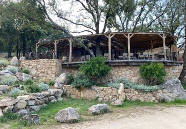 Trail Walking Zonza - Les trois fontaines  - Photo