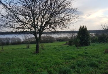 Trail Walking Merlevenez - PR_56_Merlevenez_AA_01_Ch-Faisant-Vers-La-Ria-Etel_Circuit1b_20191222 - Photo