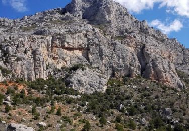 Excursión Senderismo Saint-Antonin-sur-Bayon - La Sainte-Victoire par la brèche du Clapier - Photo