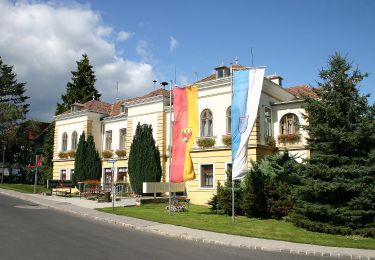 Tour Zu Fuß Gemeinde Bad Sauerbrunn - NW Lazawiese (Bad Sauerbrunn) - Photo