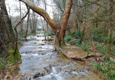 Trail Walking Réauville - SityTrail - 2279518 - reauville-essai- - Photo