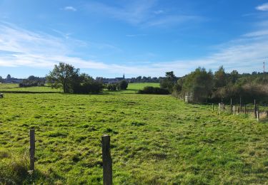 Randonnée Marche Daverdisse - Haut Fays 260923 - Photo