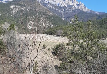 Trail Walking Laval-d'Aix - Laval d'Aix col ayase col fauchare - Photo