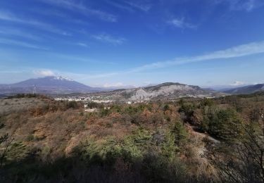 Tour Wandern Tallard - Boucle Tallard - Venterol - Photo