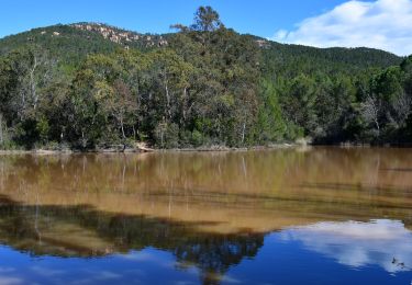 Tour Wandern Puget-sur-Argens - Pk La Lieutenante - Source St Martin - 3 étangs - Piste des Lauriers - Photo