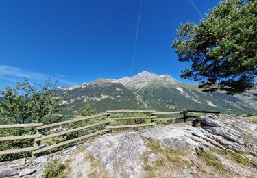 Tocht Stappen Val-Cenis - Grotte des Balmes - Photo