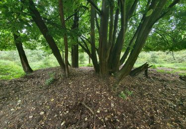 Tour Wandern Antwerpen - wandelen - hobokense Polder  - Photo