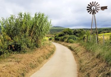 Tour Wandern Caunes-Minervois - Grand tour de Caunes - Photo