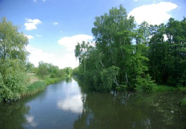 Excursión A pie Lübbenau/Spreewald - Wanderweg Lübben-Lübbenau - Photo