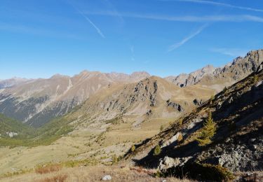 Trail Walking Belvédère - Cime de Paranova de St Grat - Photo