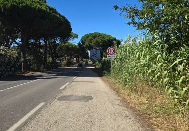 Percorso Marcia Hyères - Petite rando  - Photo