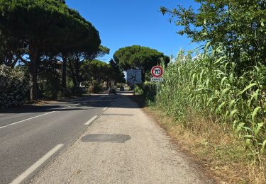 Excursión Senderismo Hyères - Petite rando  - Photo