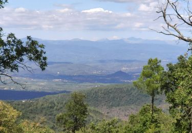 Randonnée Marche La Garde-Freinet - Route des crêtes - La Garde-Freinet - Photo