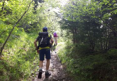 Tocht Stappen Engins - Charande en circuit par la pas de la Lose et le passage de la Grande Combe  - Photo