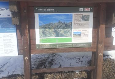 Trail Walking Le Grand-Bornand - Le grand bornand les troncs - Photo