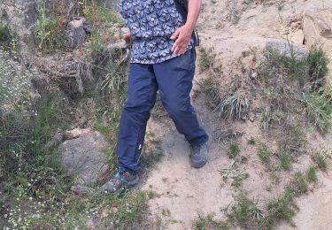 Tocht Stappen Colombiers - Oppidum  - Photo