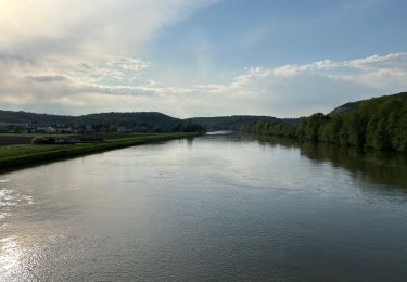 Randonnée Marche Yvoir - Houx 25,3 km - Photo