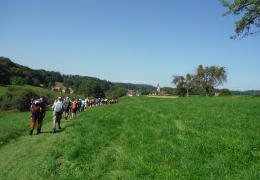 Percorso Marcia Lembach - Linéaire depuis Pfaffenbronn. - Photo