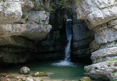 Excursión A pie Cortina d'Ampezzo - IT-8 - Photo