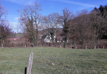 Tour Zu Fuß Kürten - Bechen Rundweg A3 - Photo