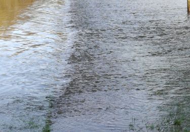 Tocht Stappen Carentoir - Quelneuc - Photo