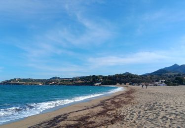 Trail Walking Argelès-sur-Mer - racou - collioure - racou / en boucle - Photo