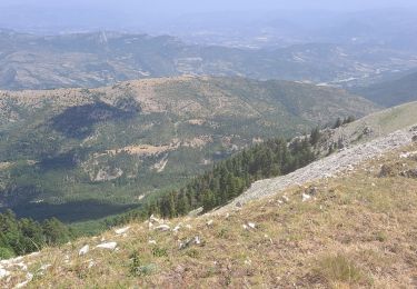 Tour Zu Fuß Valbelle - Montagne de Lure - Photo