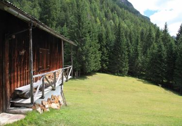 Tocht Te voet Domegge di Cadore - IT-347 - Photo