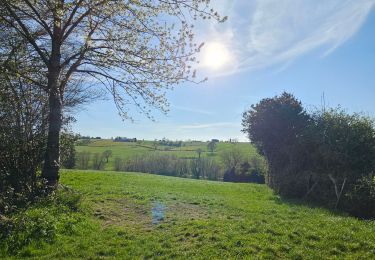 Trail Walking Herve - A la découverte de Charneux 🥾 - Photo