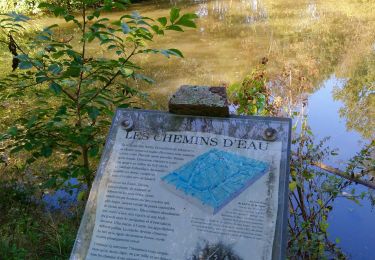 Excursión Senderismo Saint-Hilaire-la-Palud - St Hilaire, Arçais Venise verte  - Photo