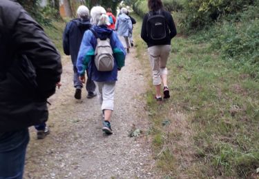 Tocht Stappen Gourin - Les CARRIÈRES Gourin  - Photo