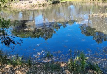 Tocht Stappen Puget-sur-Argens - z la Lieutenante 7 21-05-24 - Photo